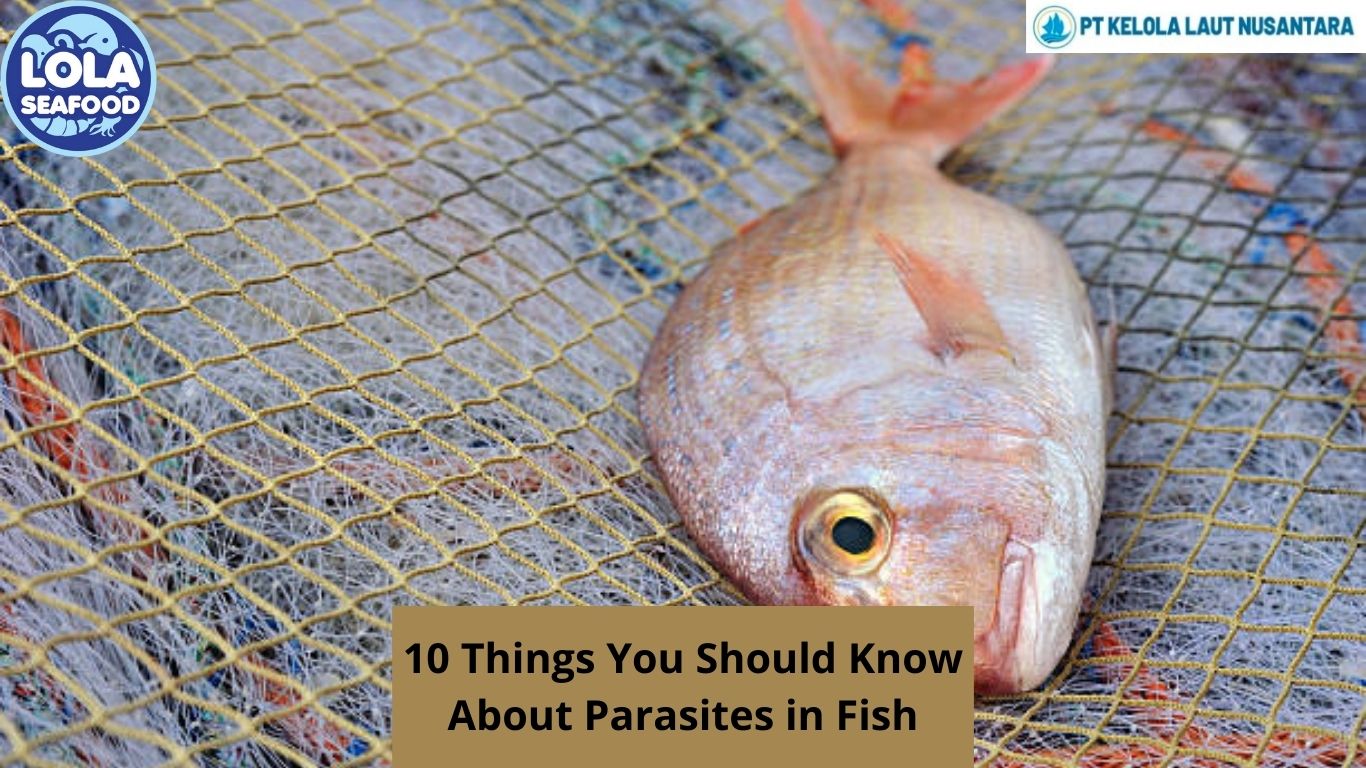 10 Things You Should Know About Parasites in Fish